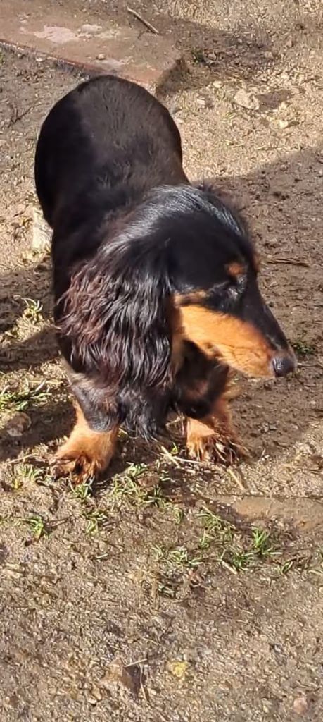 Toto (Sans Affixe)
